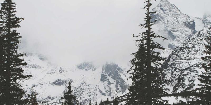 如何通过广东德洋旅游规划一次完美的家庭亲子文化之旅：禅意旅行的艺术