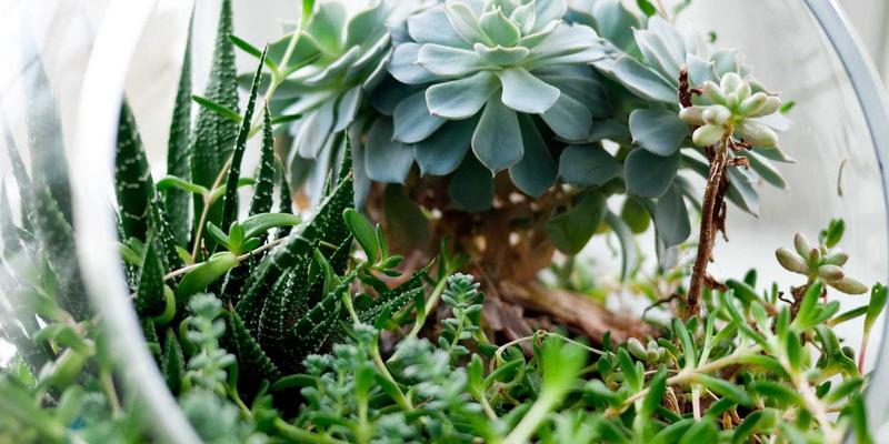 广东德洋旅游14:以专业旅游服务重塑定制旅行与深度游新体验