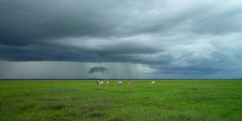 广东德洋旅游17:以禅意旅行重塑深度游,私人订制唤醒心灵之旅