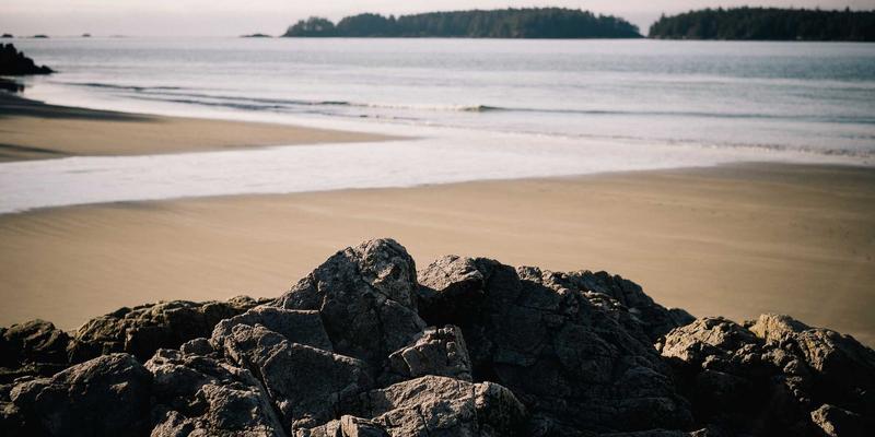 广东德洋旅游25:禅意旅行与私人订制的融合,重新定义旅游服务新境界