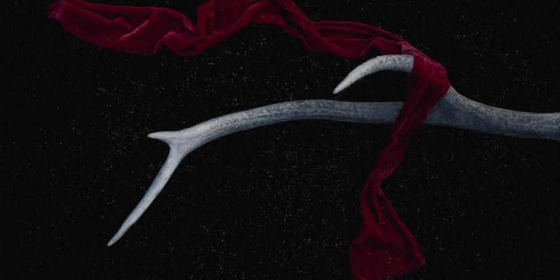 广东德洋旅游34:禅意旅行与深度游服务的现代诠释