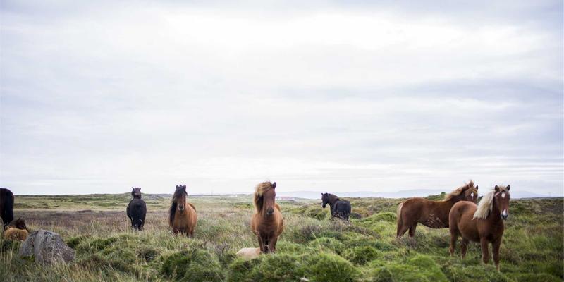 广东德洋旅游45：以私人订制开启禅意深度游，重获心灵宁静