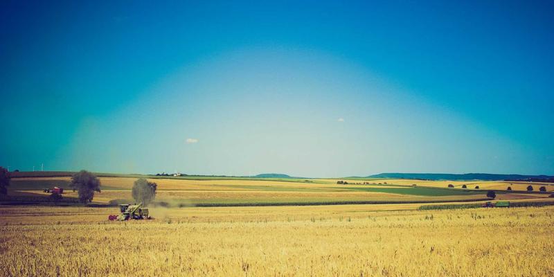 广东德洋旅游75:以深度游与定制旅行重新定义旅游服务的价值