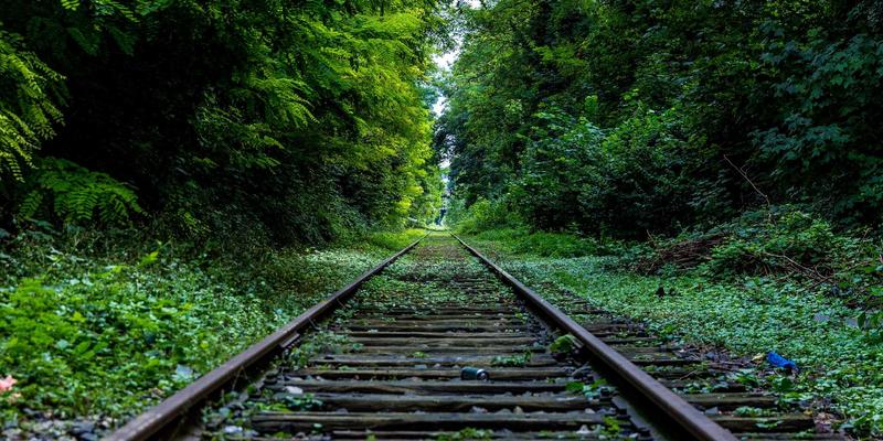 广东德洋旅游：以深度游与定制旅行重新定义岭南之旅