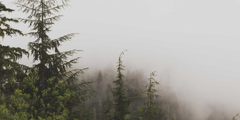 广东德洋旅游企业奖励旅游策划：如何通过私人订制与深度游提升员工归属感