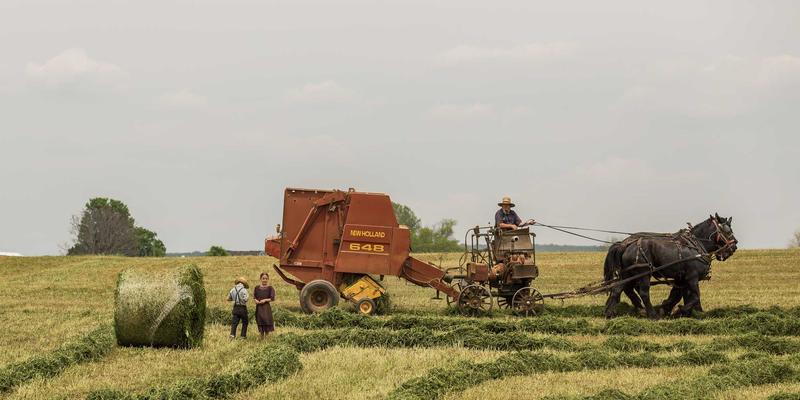 广东德洋旅游发展:以私人订制服务重塑高端旅游新体验