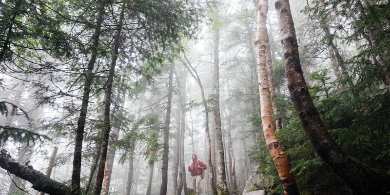 广东德洋旅游如何为银发族定制舒适安全的慢旅行方案
