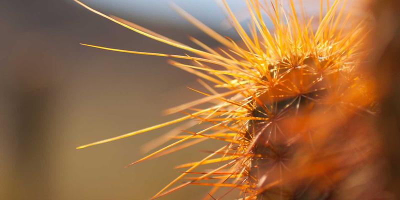 广东德洋旅游：如何为高端客户私人订制包含博物馆与收藏品鉴的艺术之旅