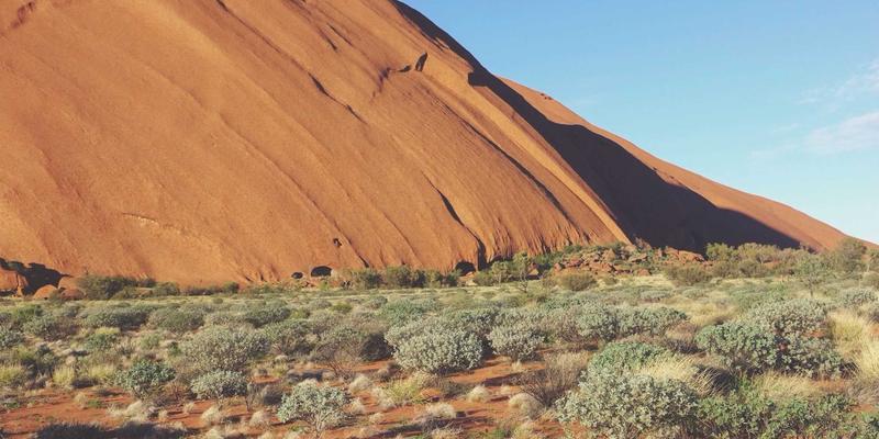 广东德洋旅游定制旅行：如何将岭南文化精髓融入中小学研学实践