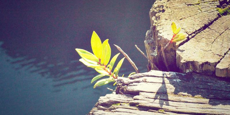 广东德洋旅游：揭秘小众目的地定制旅行，开启深度游秘境探索