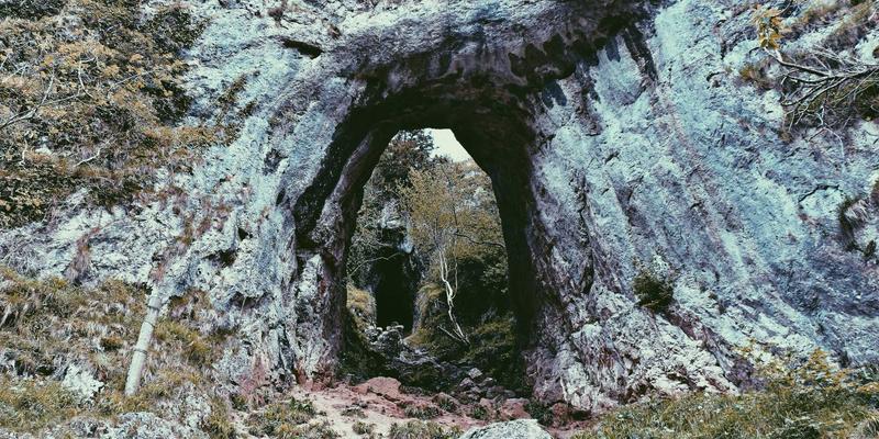 深度定制，专业策划：广东德洋旅游如何打造卓越企业客户服务与团队建设活动