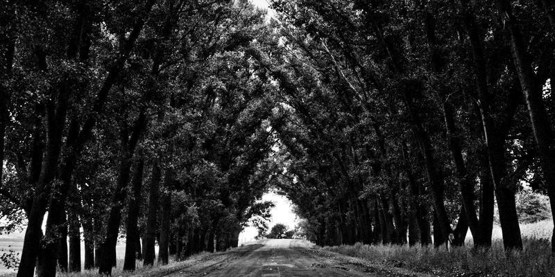 深度定制红色之旅：广东德洋旅游如何重塑粤港澳大湾区革命历史体验