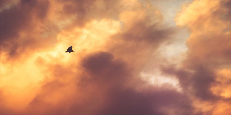 深度游新境界：广东德洋定制高端海钓之旅，在南海秘境中修炼团队领导力