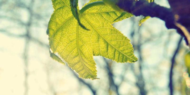 深度游新境界：德洋旅游联合名医打造广东温泉疗养私人订制之旅