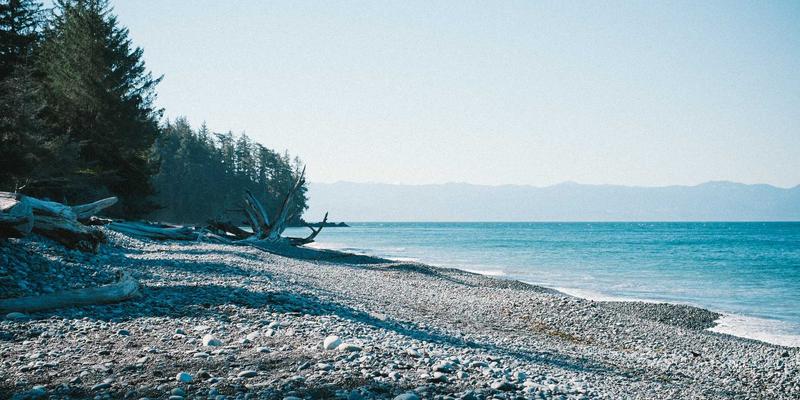 禅意旅行新境界：广东德洋旅游如何以沉浸式体验重塑红色文化旅游