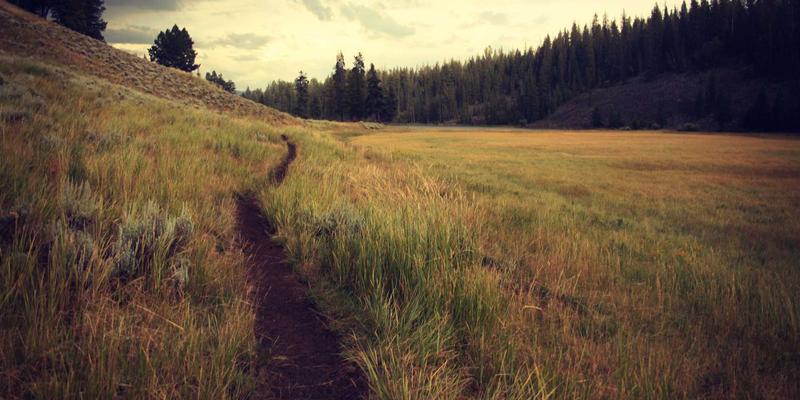 私人订制茶文化之旅：德洋旅游带您沉浸体验潮州工夫茶与英德红茶园